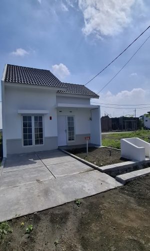 WhatsApp Image 2025-05-24 at 21.33.17 (1)