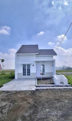 WhatsApp Image 2025-05-24 at 21.33.17