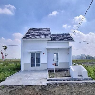 WhatsApp Image 2025-05-24 at 21.33.17