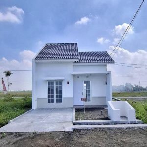 WhatsApp Image 2025-05-24 at 21.33.17