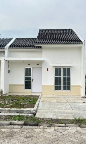 WhatsApp Image 2025-05-24 at 21.33.18 (1)