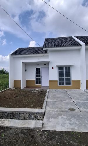 WhatsApp Image 2025-05-24 at 21.33.18